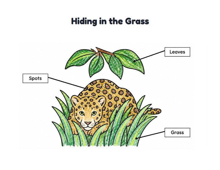 Hiding in the Grass worksheet (Easy, Pre-K–K)