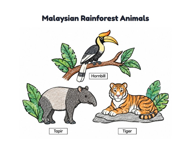 Malaysian Rainforest Animals worksheet (Easy, Pre-K–K)
