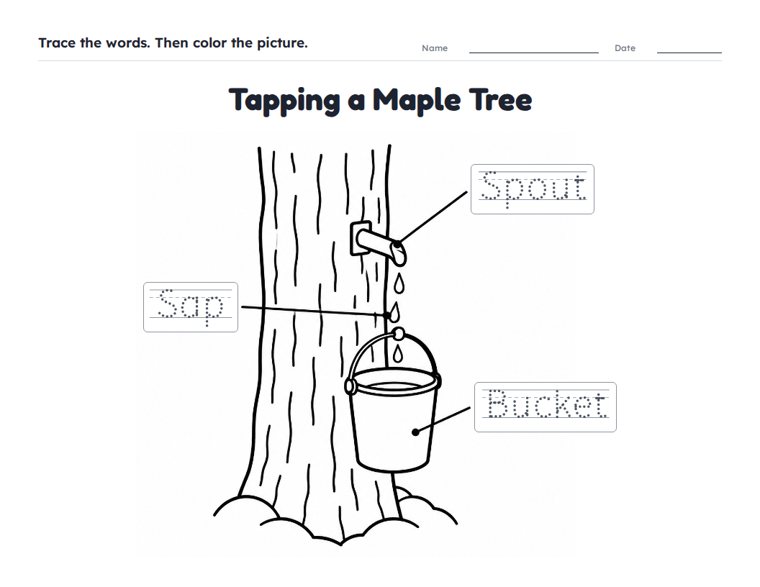 Tapping a Maple Tree worksheet (Easy, Pre-K–K)