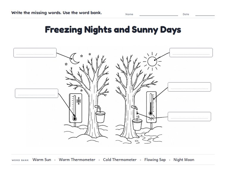Freezing Nights and Sunny Days worksheet (Medium, Grades 1–2)