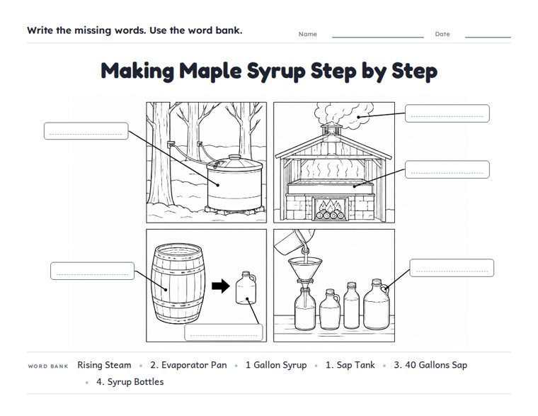 Making Maple Syrup Step by Step worksheet (Hard, Grades 3–4)