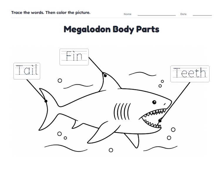 Megalodon Body Parts worksheet (Easy, Pre-K–K)