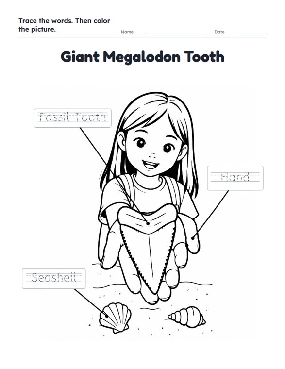 Giant Megalodon Tooth worksheet (Easy, Pre-K–K)