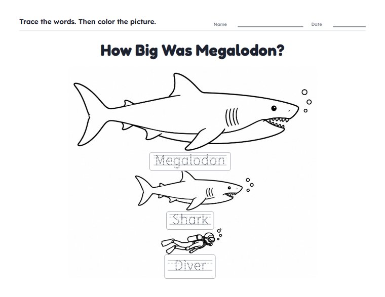 How Big Was Megalodon? worksheet (Easy, Pre-K–K)
