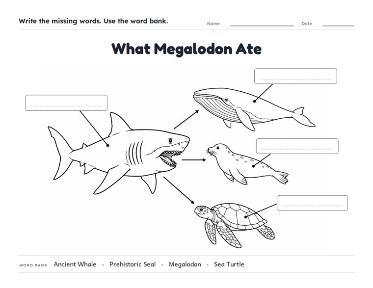 What Megalodon Ate worksheet (Medium, Grades 1–2)