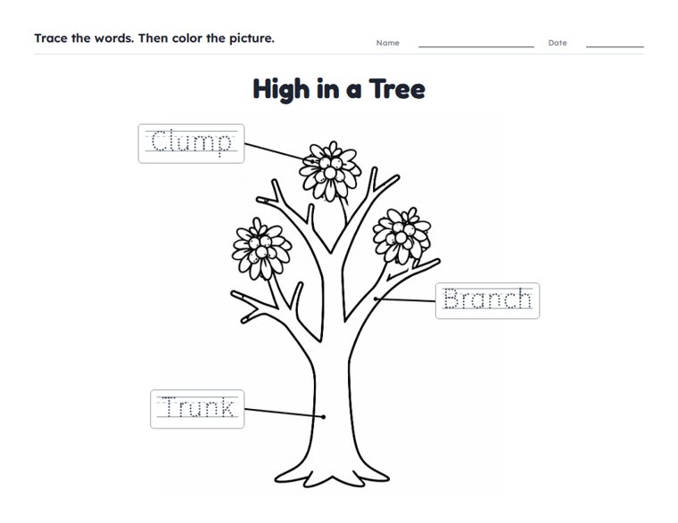 High in a Tree worksheet (Easy, Pre-K–K)