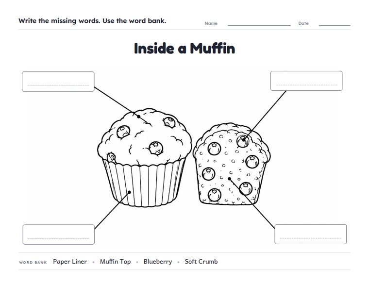 Inside a Muffin worksheet (Medium, Grades 1–2)