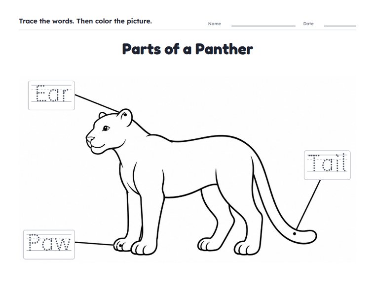 Parts of a Panther worksheet (Easy, Pre-K–K)
