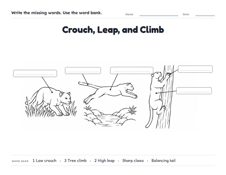 Crouch, Leap, and Climb worksheet (Medium, Grades 1–2)