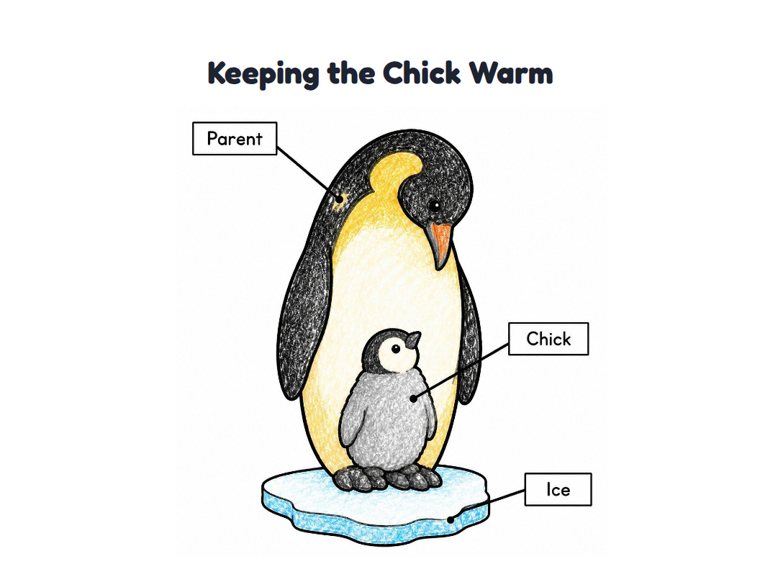 Keeping the Chick Warm worksheet (Easy, Pre-K–K)