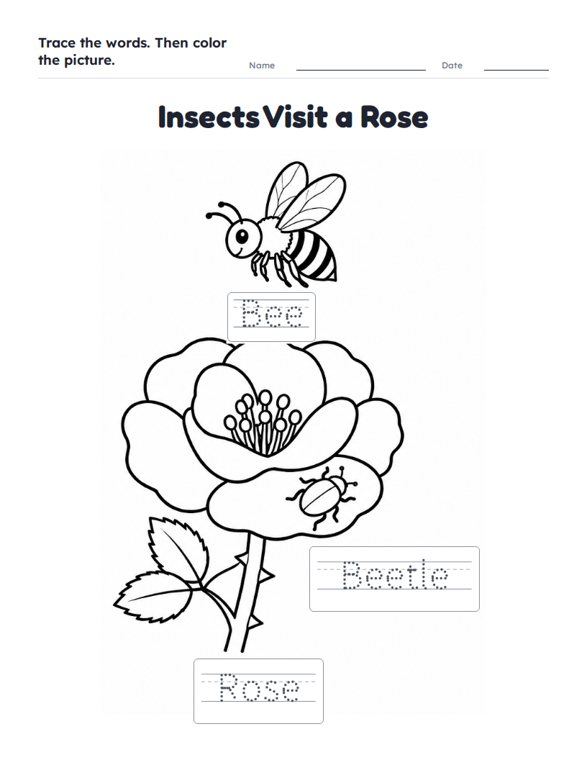 Insects Visit a Rose worksheet (Easy, Pre-K–K)