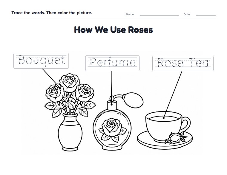 How We Use Roses worksheet (Easy, Pre-K–K)
