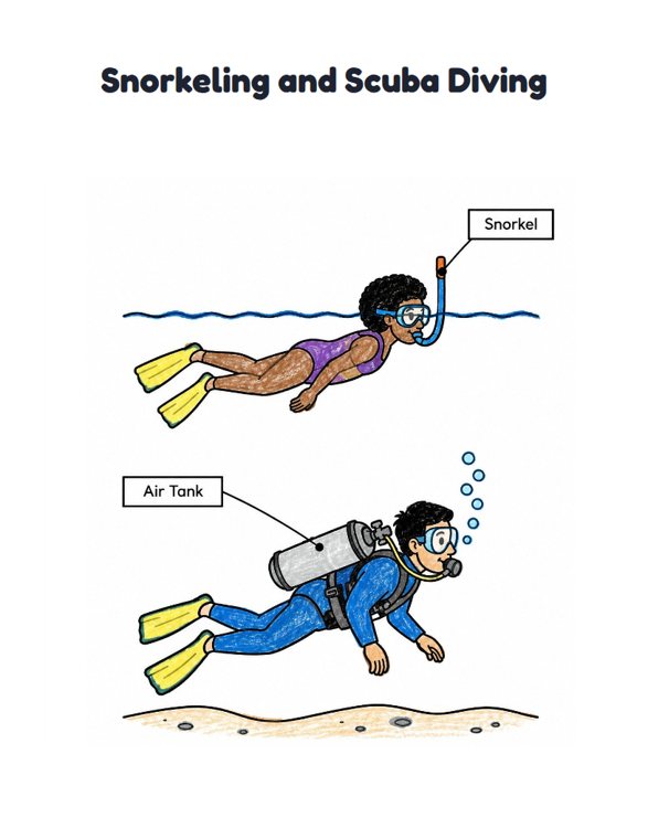 Snorkeling and Scuba Diving worksheet (Easy, Pre-K–K)