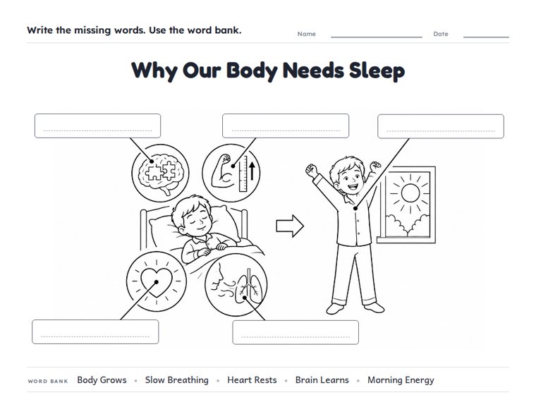 Why Our Body Needs Sleep worksheet (Hard, Grades 3–4)