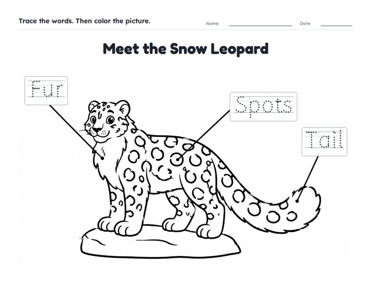 Meet the Snow Leopard worksheet (Easy, Pre-K–K)