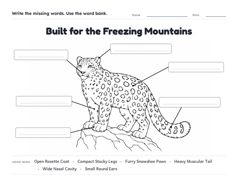 Built for the Freezing Mountains worksheet (Hard, Grades 3–4)