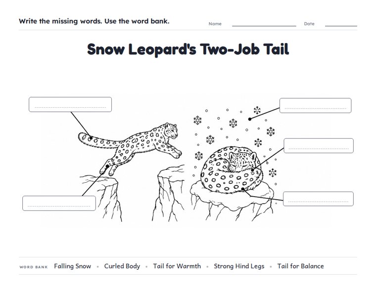 Snow Leopard's Two-Job Tail worksheet (Medium, Grades 1–2)