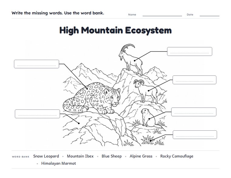High Mountain Ecosystem worksheet (Hard, Grades 3–4)