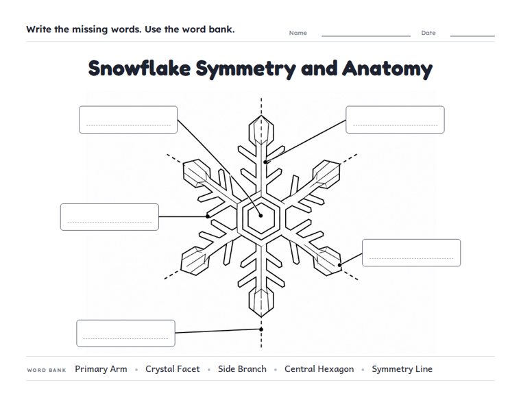 Snowflake Symmetry and Anatomy worksheet (Hard, Grades 3–4)