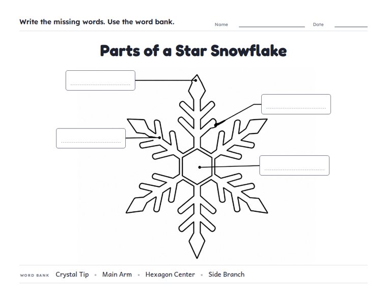 Parts of a Star Snowflake worksheet (Medium, Grades 1–2)