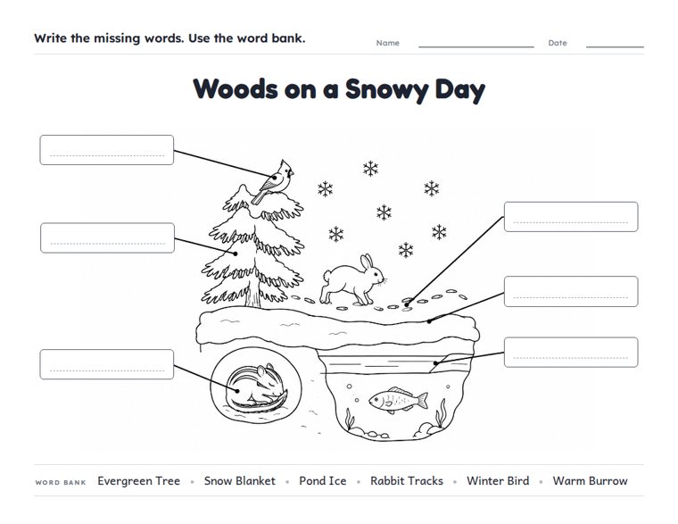 Woods on a Snowy Day worksheet (Hard, Grades 3–4)