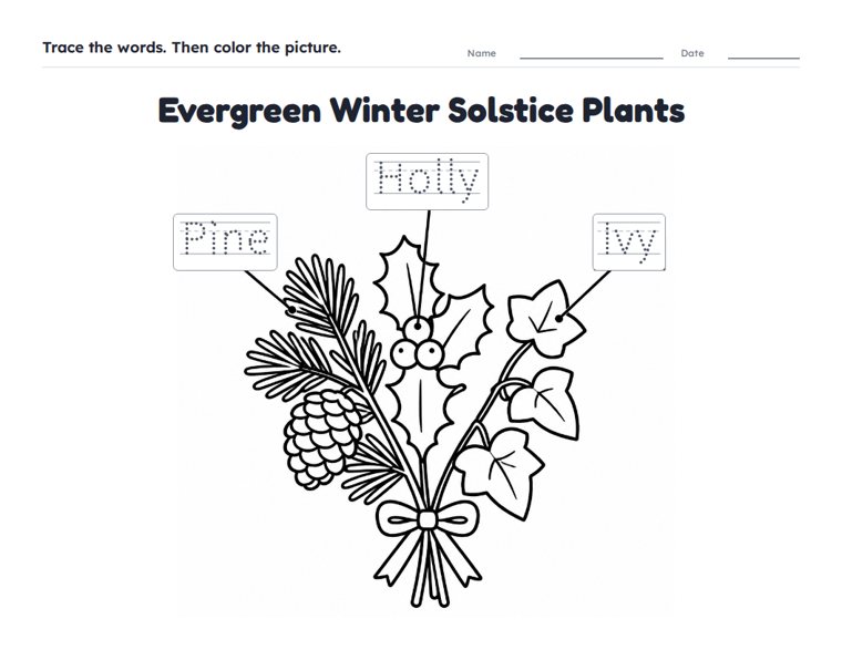Evergreen Winter Solstice Plants worksheet (Easy, Pre-K–K)