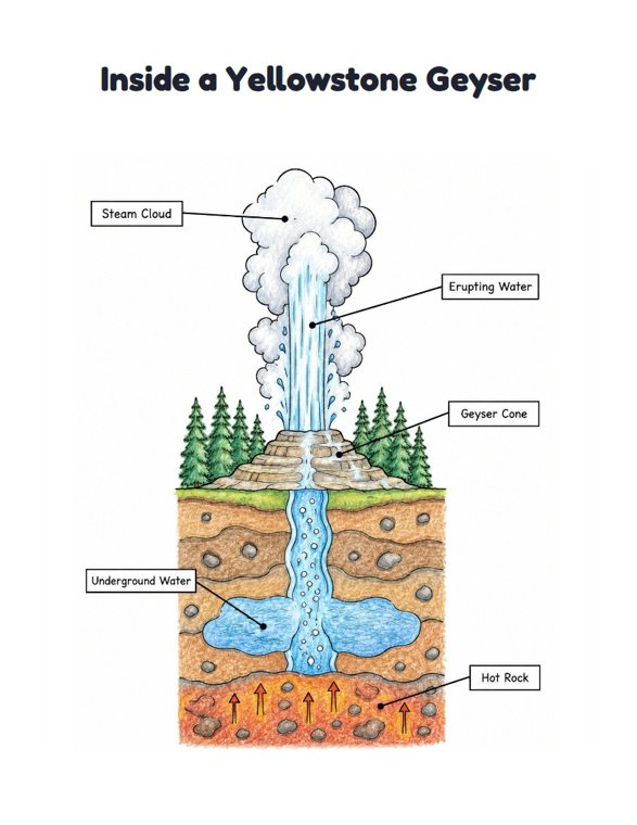 Inside a Yellowstone Geyser worksheet (Medium, Grades 1–2)